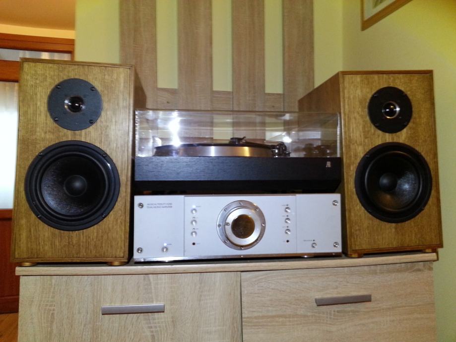 Dynaudio Reference Master Hifi Stereo Zvo Niki Vrhunskega Zvoka X W