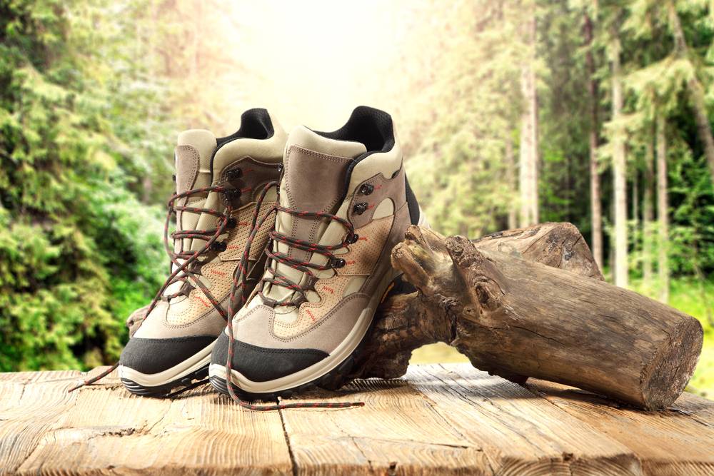 Pohodni čevlji, razstavljeni na leseni korenini z ozadjem gozda.