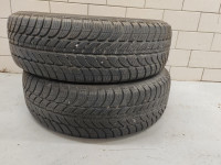 Zimske pnevmatike Sava 175/65 R14