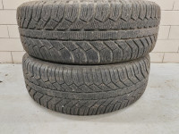 Zimski pnevmatiki Semperit 205/60 R16