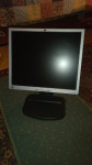 Monitor HP 19"