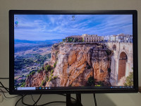 DELL UltraSharp 24 Monitor - U2412M