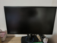 PRODAM asus monitor