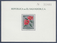 El Salvador - rože