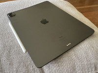 iPad Pro 12.9, 256GB, 4th gen, space grey, zelo ohranjen, vreden nakup