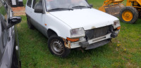 Renault 5 Fife