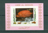 Umm al Qiwain 1972 tropske ribe I. 8 blokov IX. - XVI. MNH**
