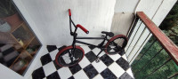 Kolo BMX 21", sestavljeno po delih, freecoaster