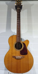 Takamine Pro Series P5NC