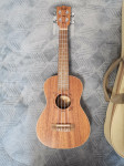 Ukulele Flight DUC323