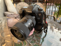 Canon 7d mark2 + sigma 18-35 f1.8