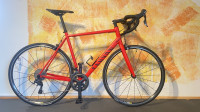 CANYON ENDURACE 6.0 AL