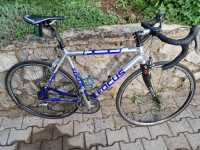 Cestno kolo Focus (Shimano Ultegra)