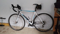 cestno kolo Genesis comp Corsa M velikost