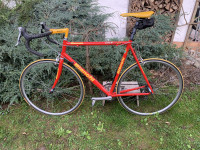 Cestno kolo oz. specialka Bianchi Gold Race Team - 61 cm