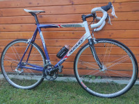 CESTNO KOLO RIDLEY PEGASUS