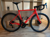 DeRosa Merak team Cofidis edition