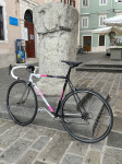 Francesco Moser Corsa classic