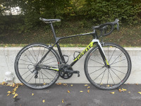 Giant TCR advanced 1