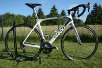 GIANT TCR COMPOSITE 1