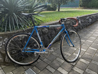 Pinarello Stelvio