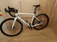 Specialized diverge carbon