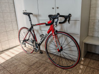 Trek madone 5.2,carbon, L velikost, ultegra 50 34