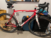 Wilier Izoard XP