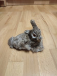 Dekorativno zajček - ležeč
