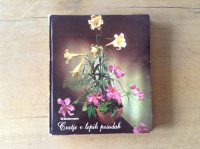 knjiga Cvetje v lepih posodah Wundermann