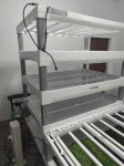 prodaja hydroponic stolpov z luckami