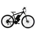 Električno kolo E-motion MTB 29" 36V 32Ah 500W / okvir 19"