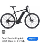 Električno kolo Giant Roam E+ GTS