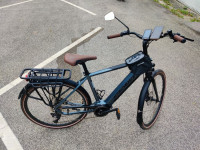 Električno kolo Jobobike Henry, sredinski Bafang 250W, NOVO