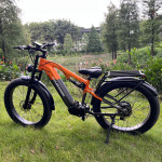 Električno kolo Randride YX80, 1500W, NOVO