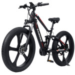 Električno kolo Randride YX90M, 1000W, NOVO