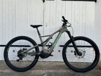 Specialized Turbo Levo