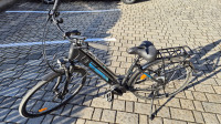 Torpado e-bike ERA T211 žensko kolo