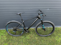 2017 Focus Raven LITE 29 Black Mountain Bike, velikost L