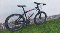 Gorsko kolo Bottecchia 26'