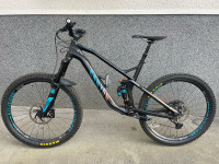 Gorsko kolo Canyon Strive AL