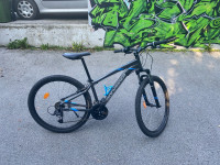 Gorsko kolo Rockrider ST100