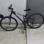 Schwinn Frontier