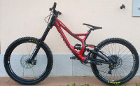 Specialized Demo Downhill Carbon