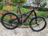 Specialized Enduro M 29