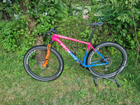 Specialized epic hardtrail