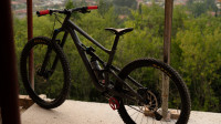 specialized status 160