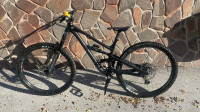 Gorsko kolo Yt industries capra core 1