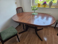Jedilna miza + 8 stolov