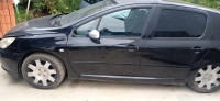 Peugeot 307 1.6 16v po delih